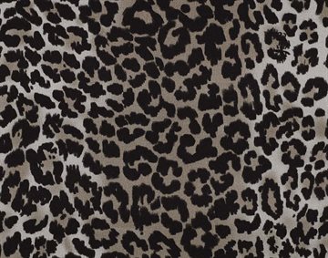 Spotted Cat